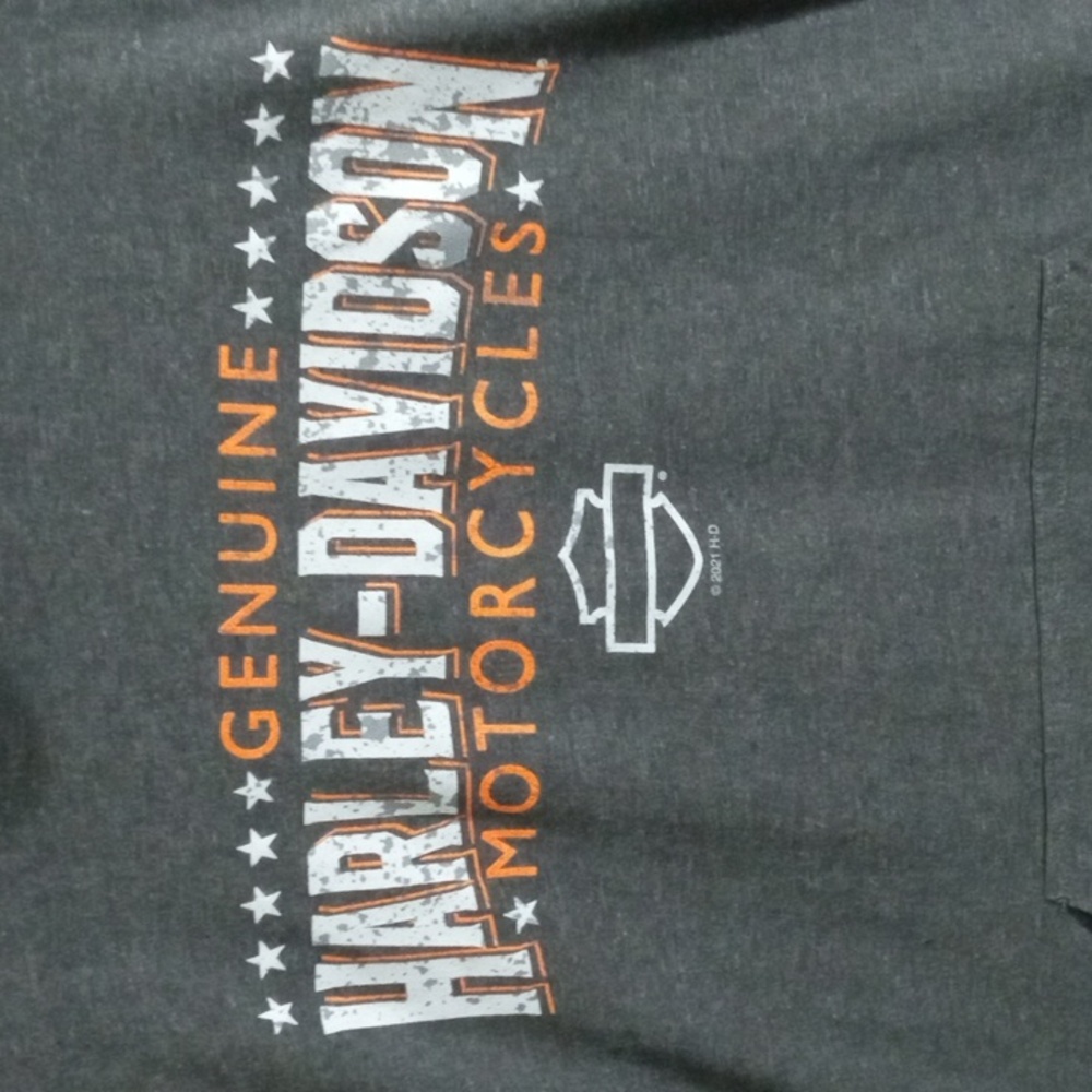 Harley-Davidson Gray Hooded Short Sleeve Tee Shirt Mens Medium
